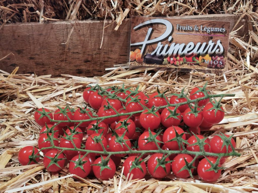 Tomate Grappe Cerise Bienvenue Sur Notre Site Mios Primeurs